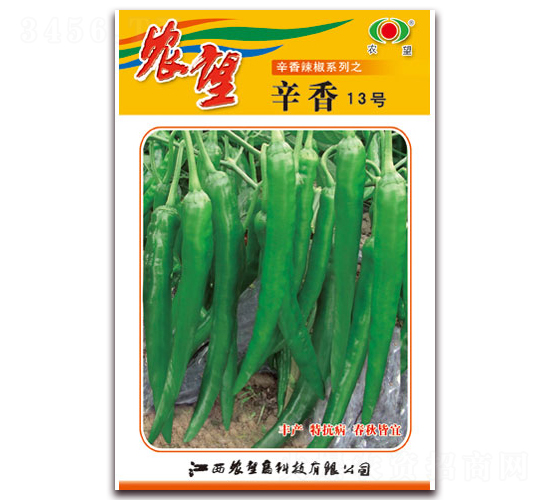 ����13̖(h��o)-�⽷�N��-�r(n��ng)��