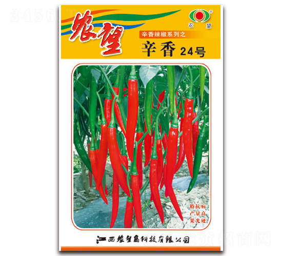 ����24̖(h��o)-�⽷�N��-�r(n��ng)��