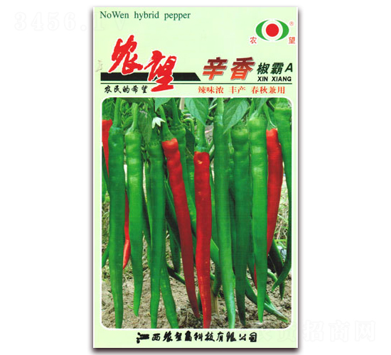 ���㽷��A-�����N��-�r(n��ng)��