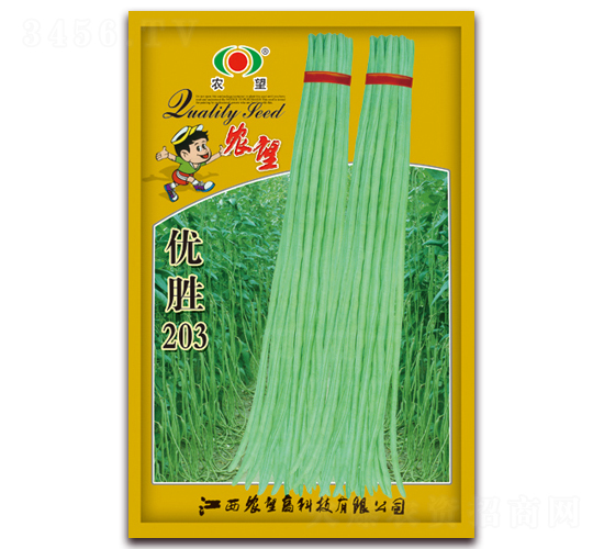 ��(y��u)��203-�����N��-�r(n��ng)��