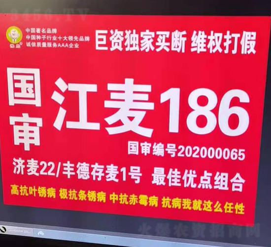 ��(gu��)������186-С���N��-��(gu��)���r(n��ng)�I(y��)