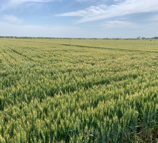 ����7698-С���N��-���\(y��n)�N�I(y��)