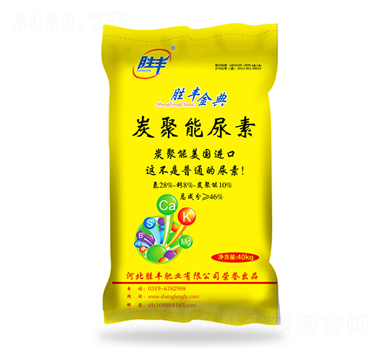 ̿��������-���S���-���S�ʘI(y��)