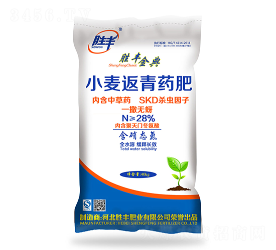 С������ˎ��-���S���-���S�ʘI(y��)