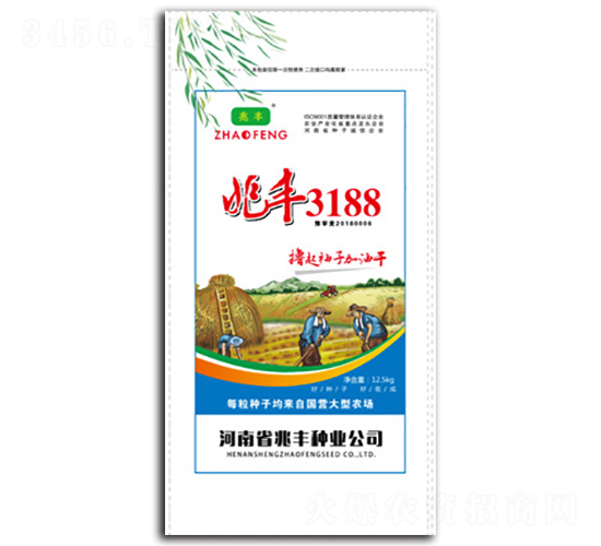 ���S3188-С���N��-���S