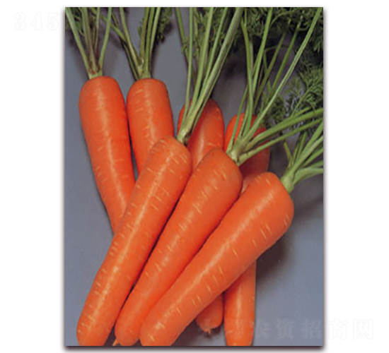 �t�S901-���}���N��-���r(n��ng)���v