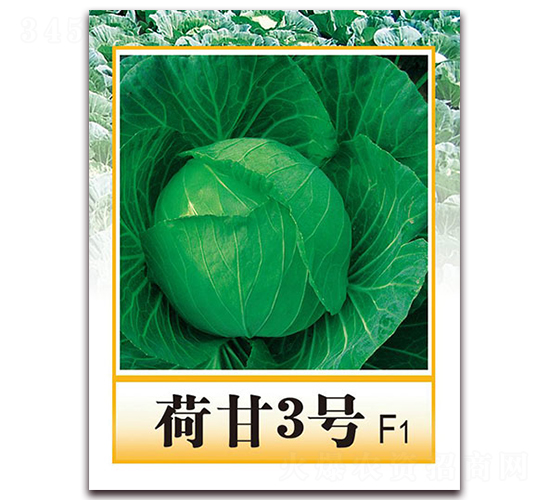 �ɸ�3̖F1-������{�N��-���r(n��ng)���v