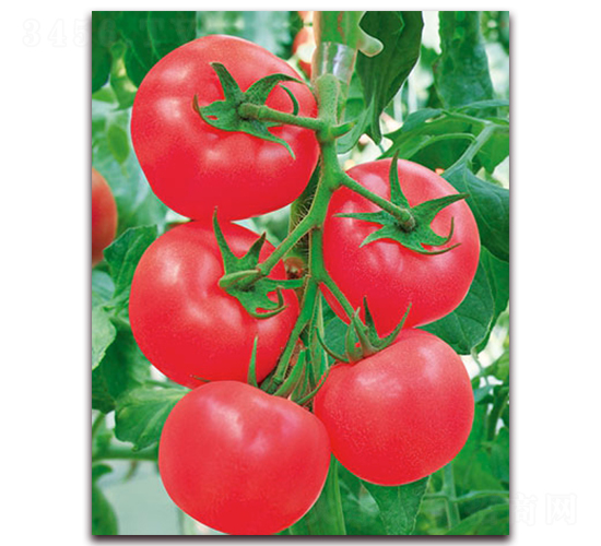 Ӳ������F1-��Ӳ�۹����ѷN��-���r(n��ng)���v