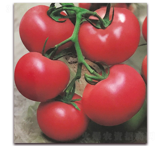 ���r(n��ng)��̖-���Ӳ�۷��ѷN��-���r(n��ng)���v