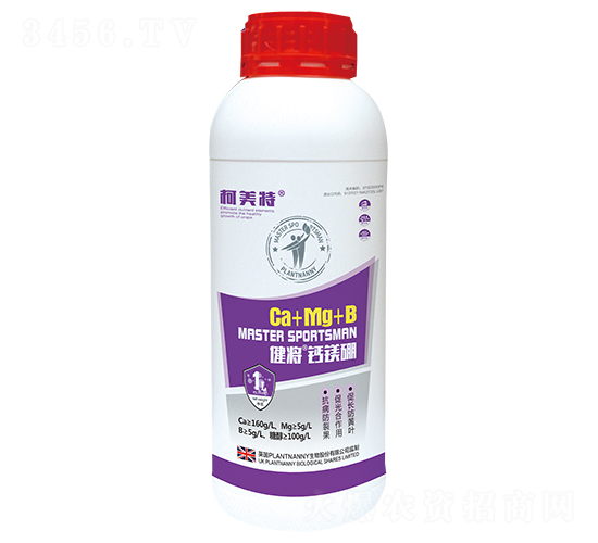 �}�V��Ca+Mg+B��ƿ�b��-����-������