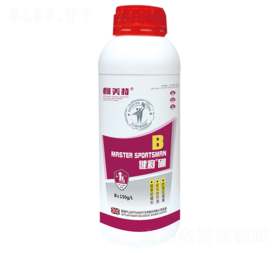 ��-����-������