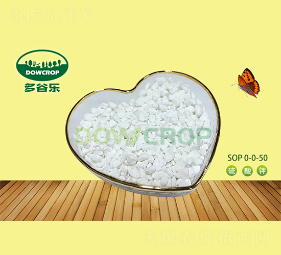 �w�������SOP0-0-50-��Ș�