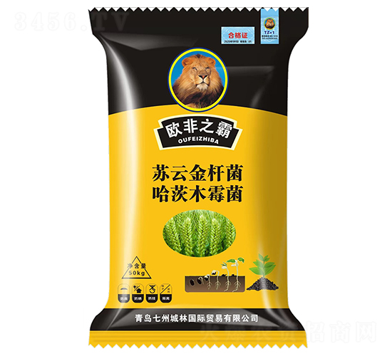 С���طN��-�W��֮��-���ݳ���