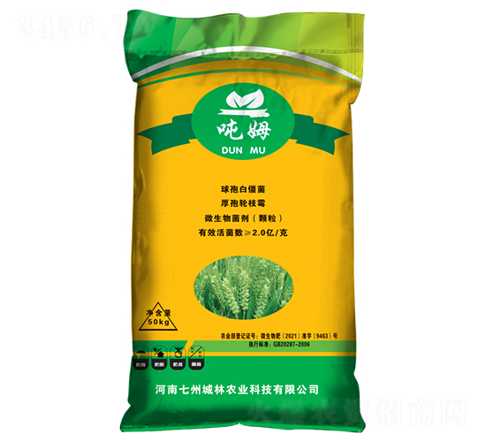 ��ʮ��С���������طN��-��ķ-���ݳ���