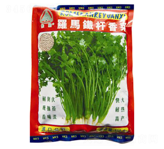 �_�R�F�U���-��˷N��-�ꂥ�N�I(y��)