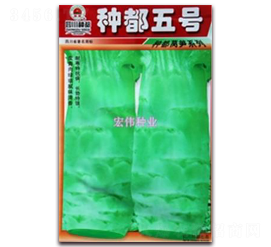 �N����̖(h��o)-�n�ķN��-�ꂥ�N�I(y��)