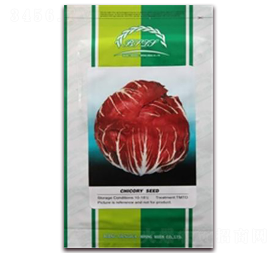 ��t��̖-���{(l��n)�N��-�ꂥ�N�I(y��)