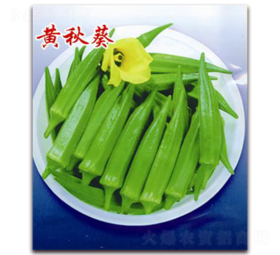 �S���-����N��-�ꂥ�N�I(y��)