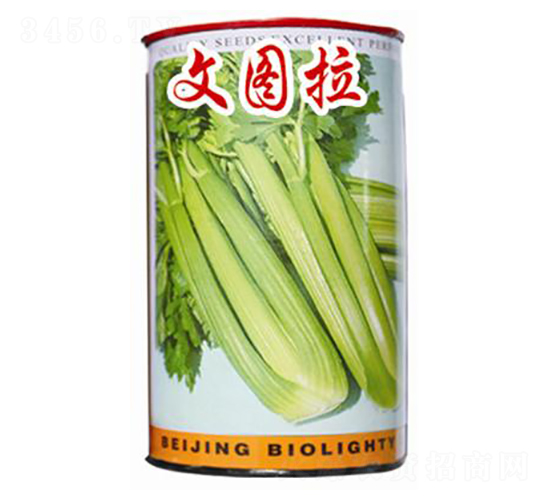 �ĈD��-�۲˷N��-�ꂥ�N�I(y��)