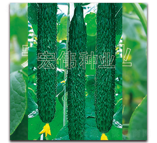 ���r(n��ng)��̖-�S�ϷN��-�ꂥ�N�I(y��)