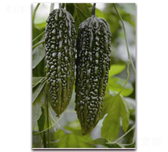 �ڿ��-��ϷN��-�ꂥ�N�I(y��)