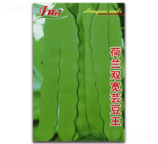 ���m�p���|����-���ǷN��-�ꂥ�N�I(y��)