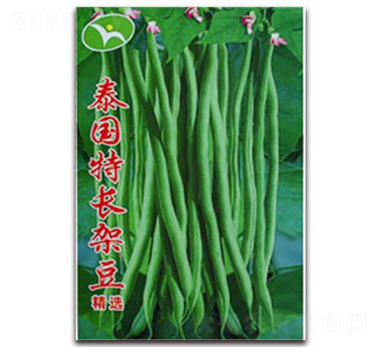 ̩�����L�ܶ�-�ܶ��N��-�ꂥ�N�I(y��)