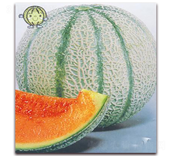 ����-��ϷN��-�ꂥ�N�I(y��)