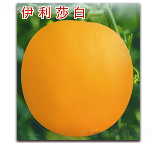 ����ɯ��-��ϷN��-�ꂥ�N�I(y��)