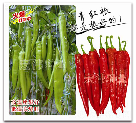 �׵�һ̖-�����N��-�ꂥ�N�I(y��)