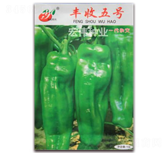 �S����̖(h��o)-�����N��-�ꂥ�N�I(y��)