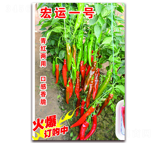 ���\(y��n)һ̖(h��o)ˮ����-�����N��-�ꂥ�N�I(y��)