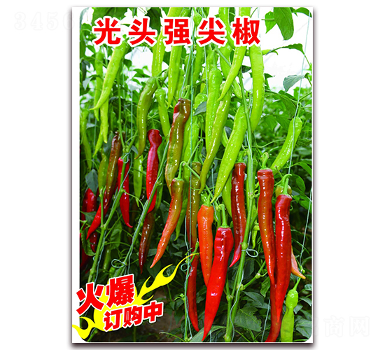 ���^��(qi��ng)�⽷-�����N��-�ꂥ�N�I(y��)