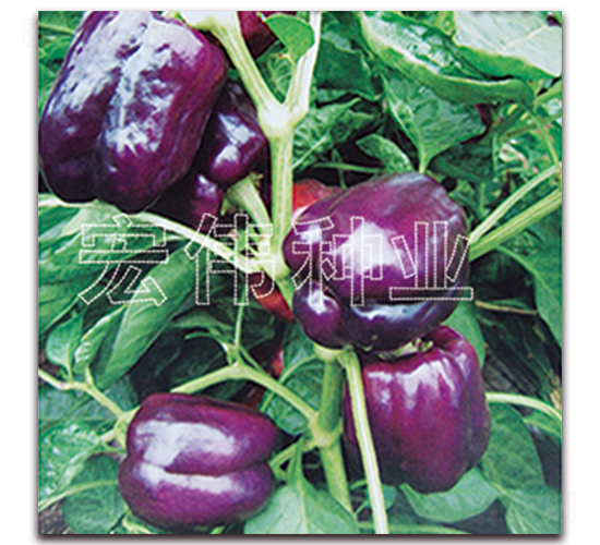 ��ˮ��-�����N��-�ꂥ�N�I(y��)