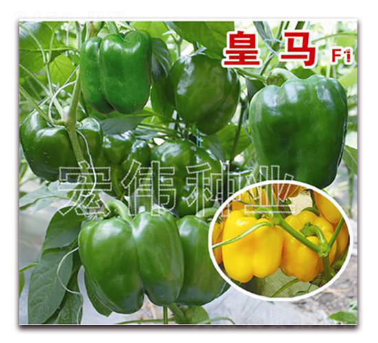 ���R-�����N��-�ꂥ�N�I(y��)