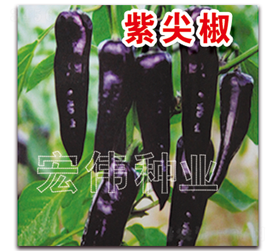 �ϼ⽷-�����N��-�ꂥ�N�I(y��)