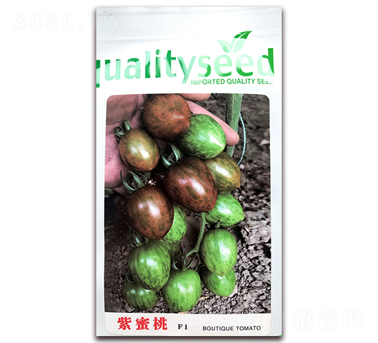 ������-�������t���N��-�ꂥ�N�I(y��)