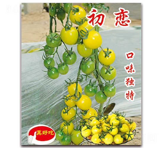 ����-�������t���N��-�ꂥ�N�I(y��)