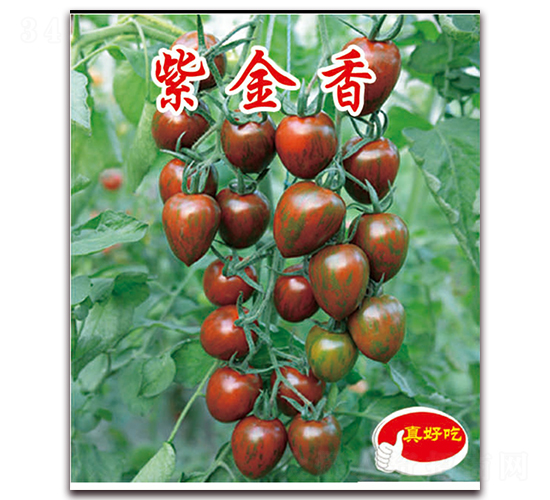 �Ͻ���-�������t���N��-�ꂥ�N�I(y��)