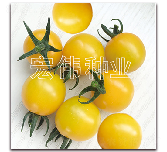 �ᭇ��-�������t���N��-�ꂥ�N�I(y��)