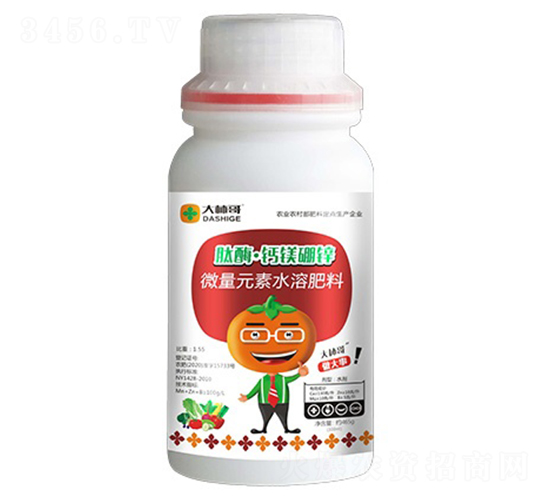 ��ø���}�V���\-������