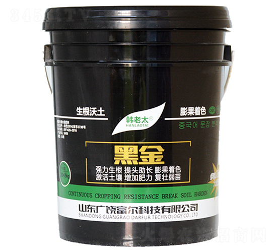 �ڽ�-�����Ƽ�