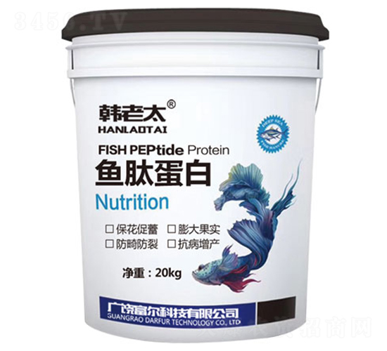 �~�ĵ���-�n��̫-�����Ƽ�