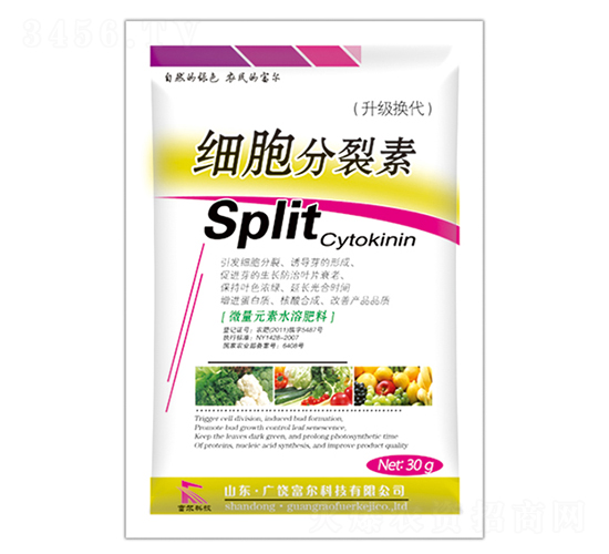 ��(x��)��������-�����Ƽ�