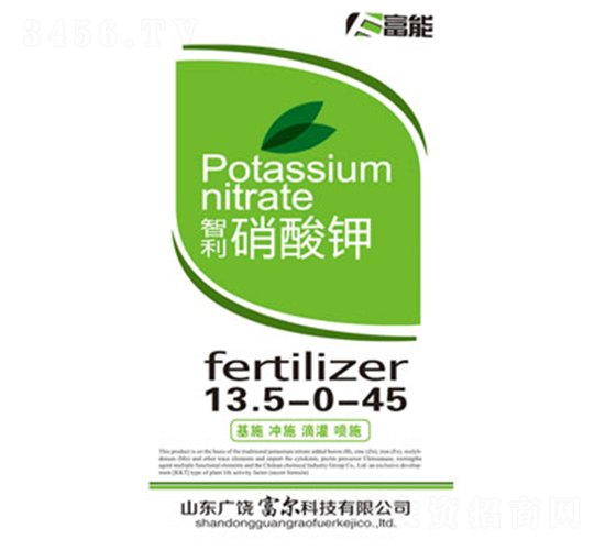 �����-�����Ƽ�