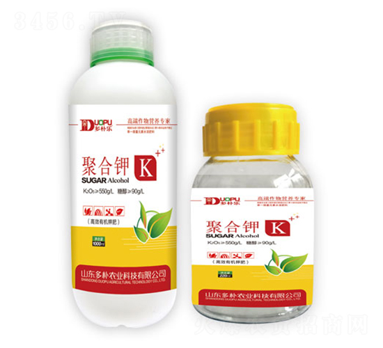 �ۺ��-�����Ƽ�