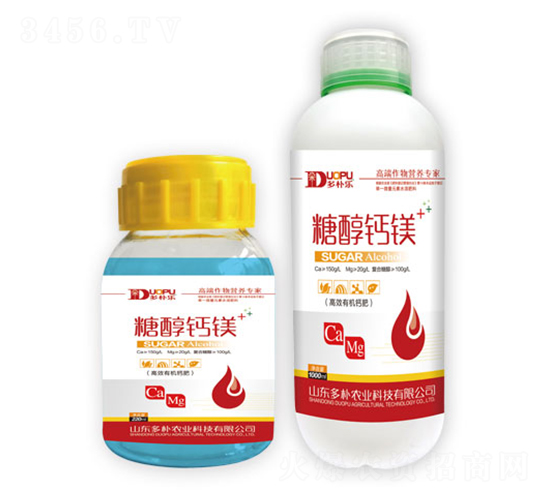 �Ǵ��}�V-�����Ƽ�