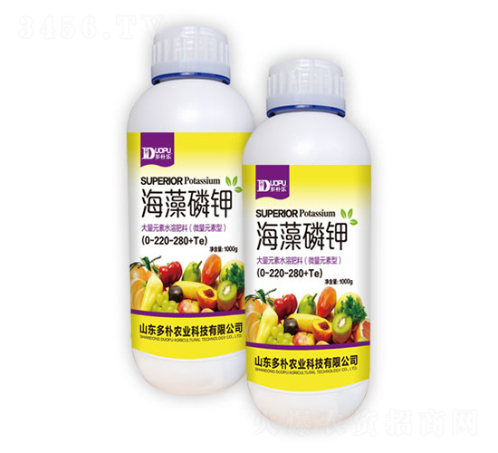 �������-�����Ƽ�