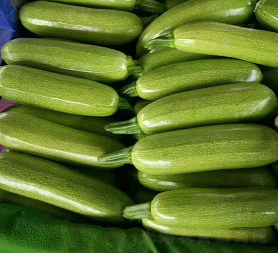 �R�W-�����J�N��-���R�߿�