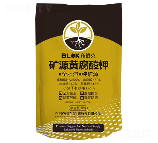 �VԴ�S�����-�����